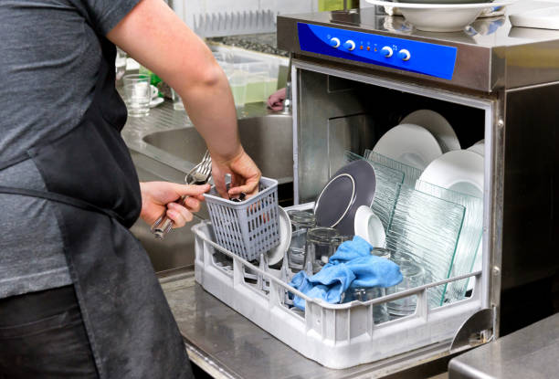 Scale-Proof Your Dishwasher: Essential Maintenance Tips