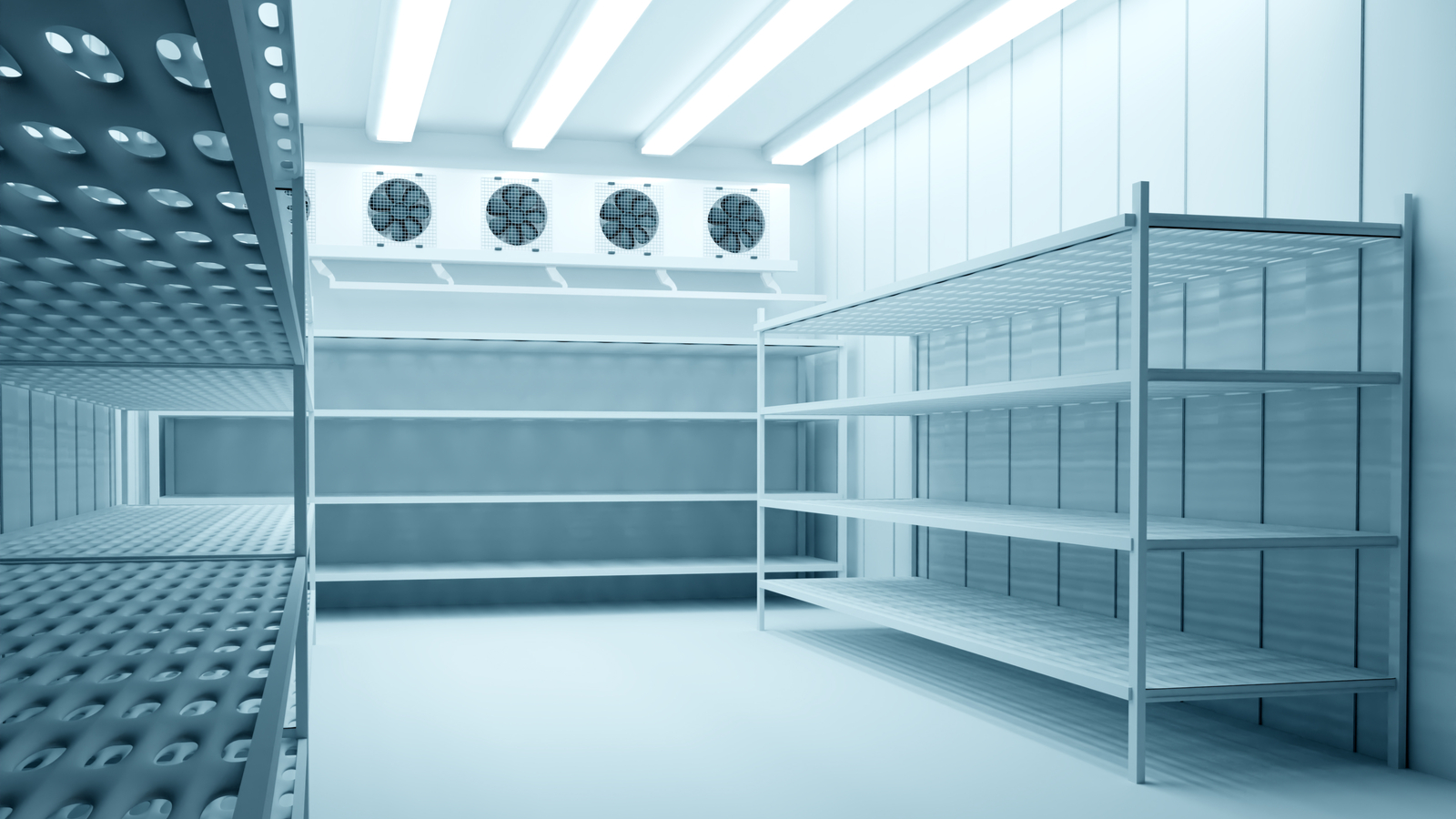 How to Take Care of Your Freezer Room Shelving for Long-Term Use? 