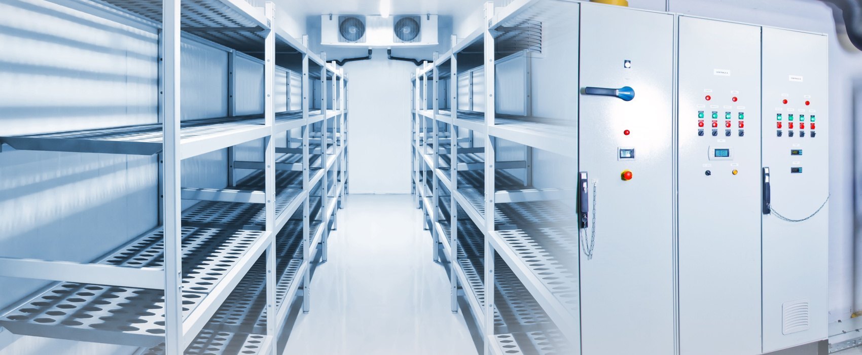 How to Maximise Storage Space with Freezer Room Shelving? 