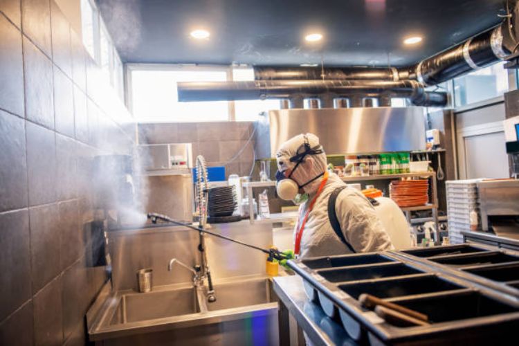How Often Should You Service Your Commercial Kitchen Equipment? 