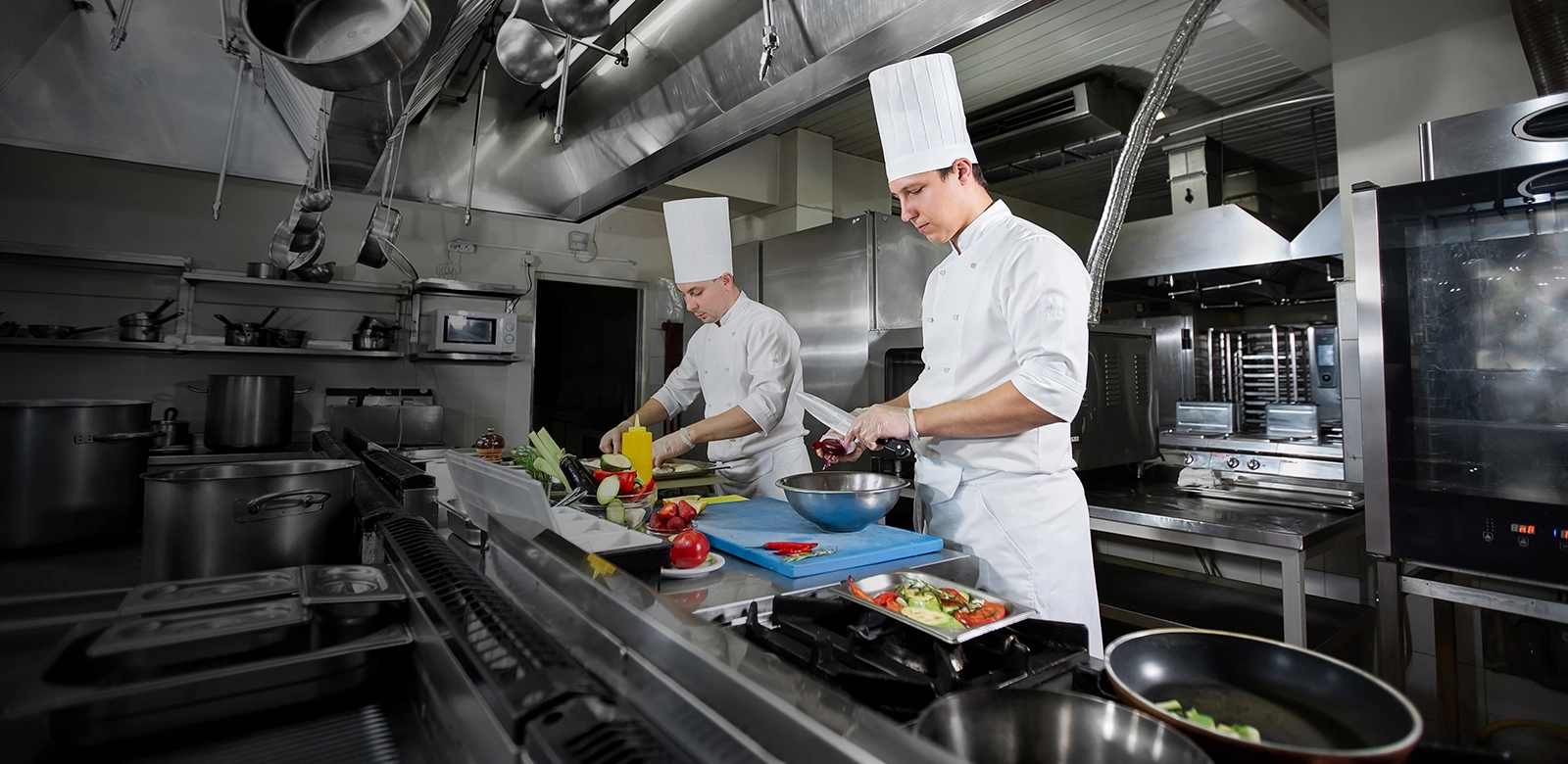 How Can Specialised Commercial Kitchen Equipment Revolutionise Your Menu? 
