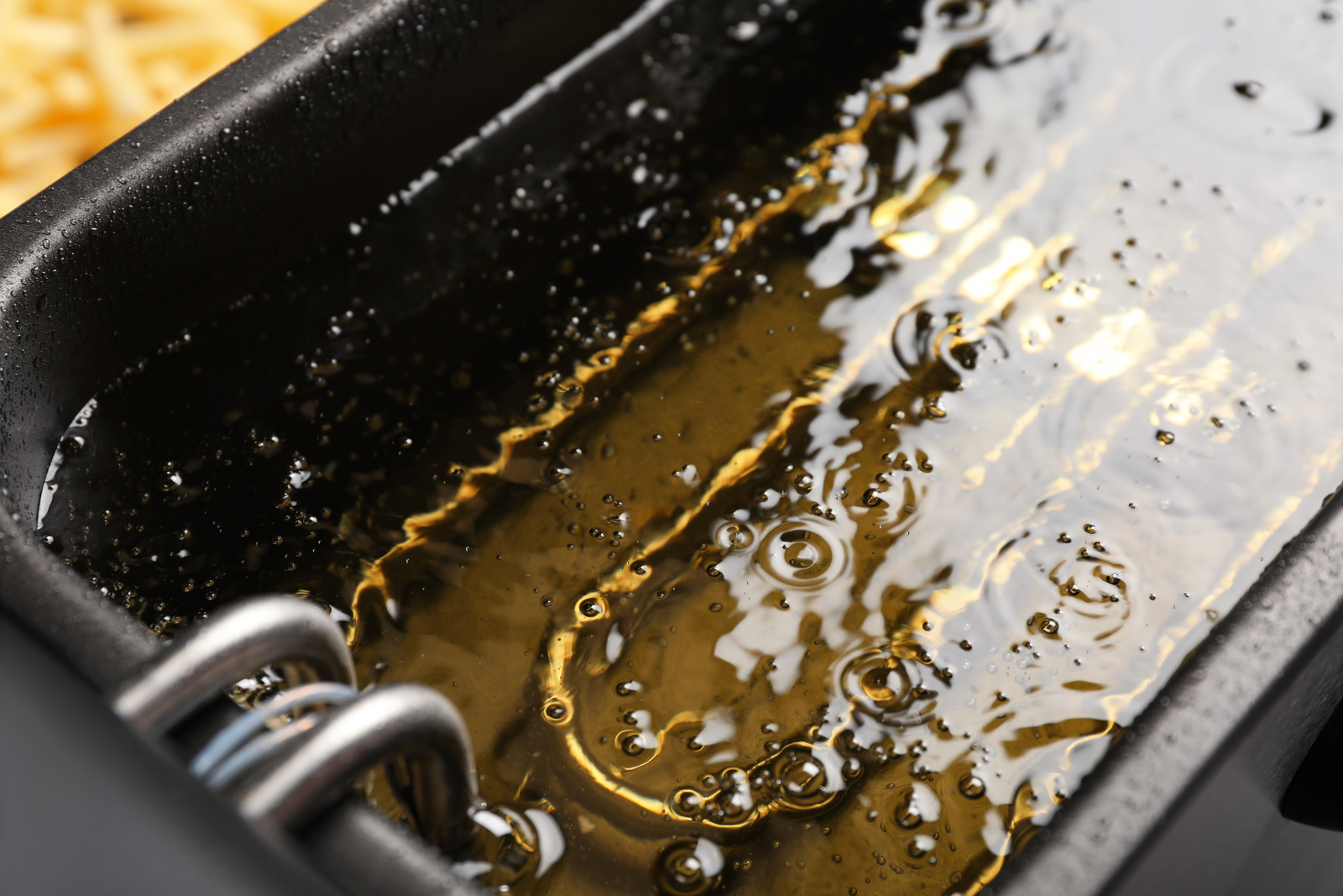 Safeguarding Flavor: Fryer Oil Mastery! 